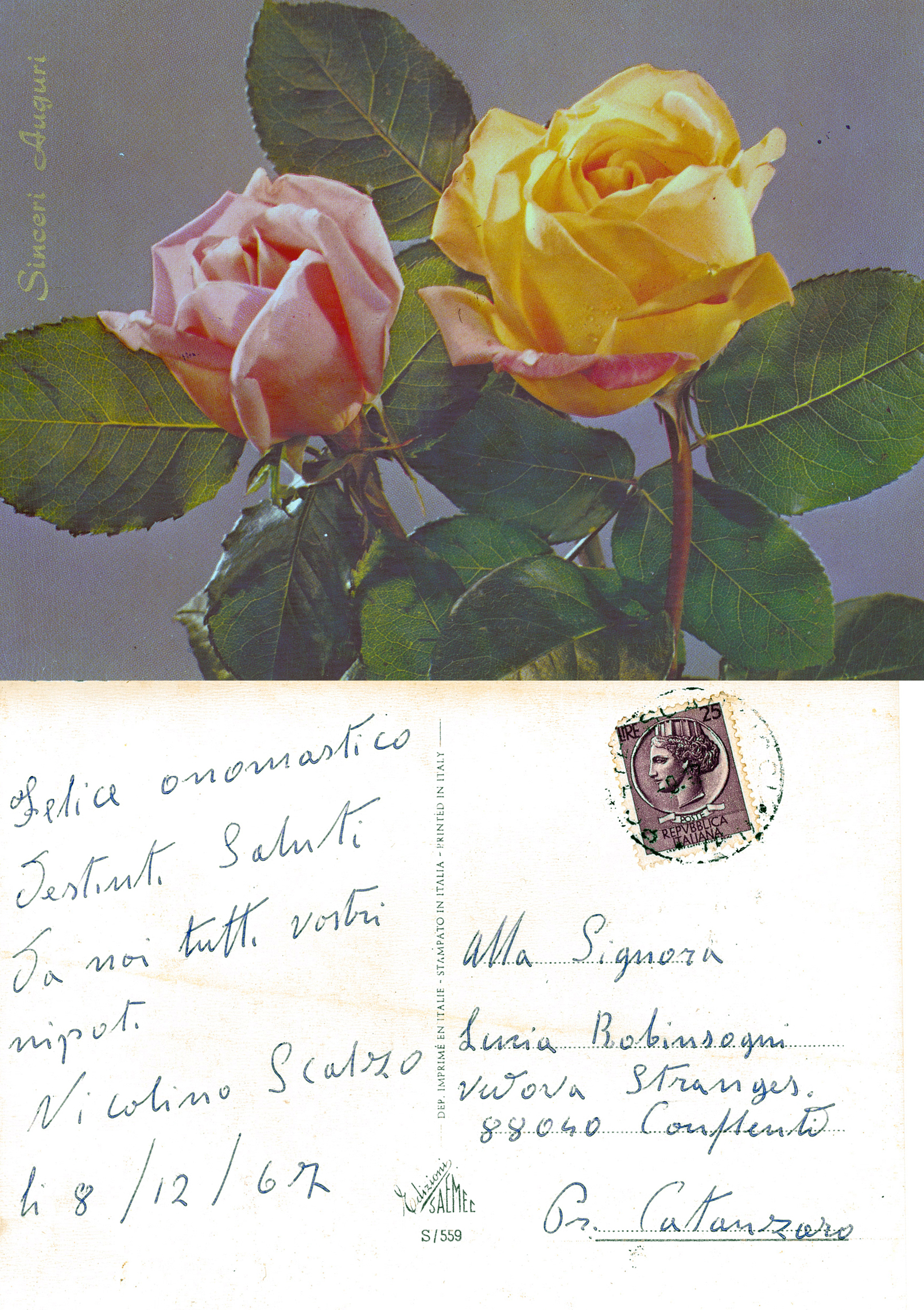 Cartolina Nicolino Scalzo